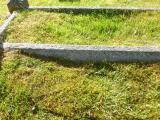 image of grave number 633782